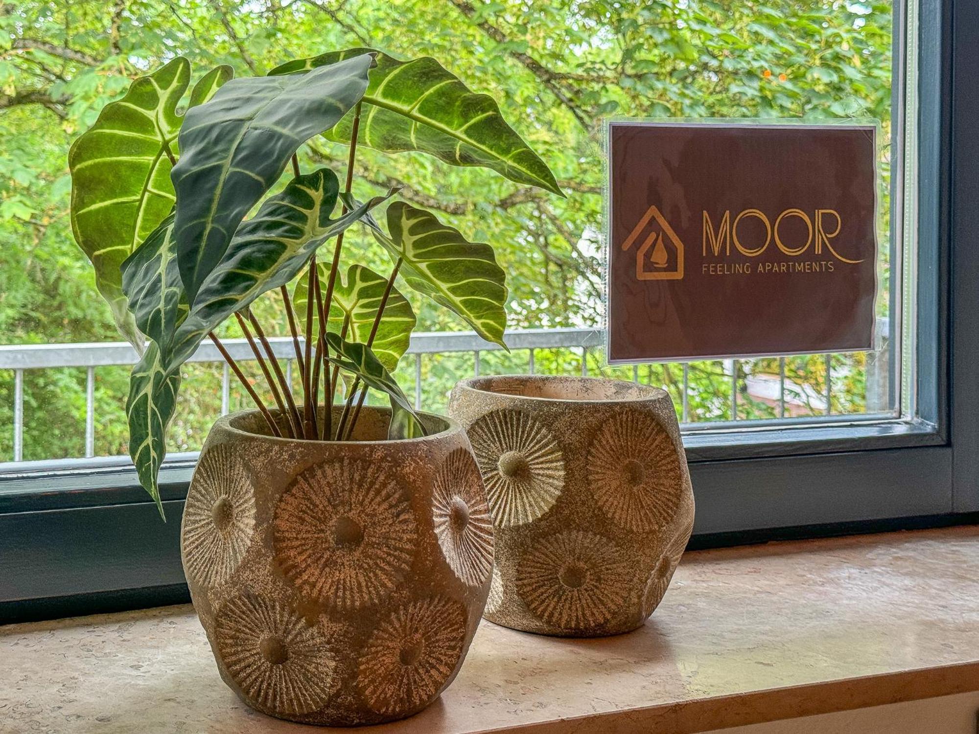 Moor Feeling Apartments Worpswede Eksteriør billede